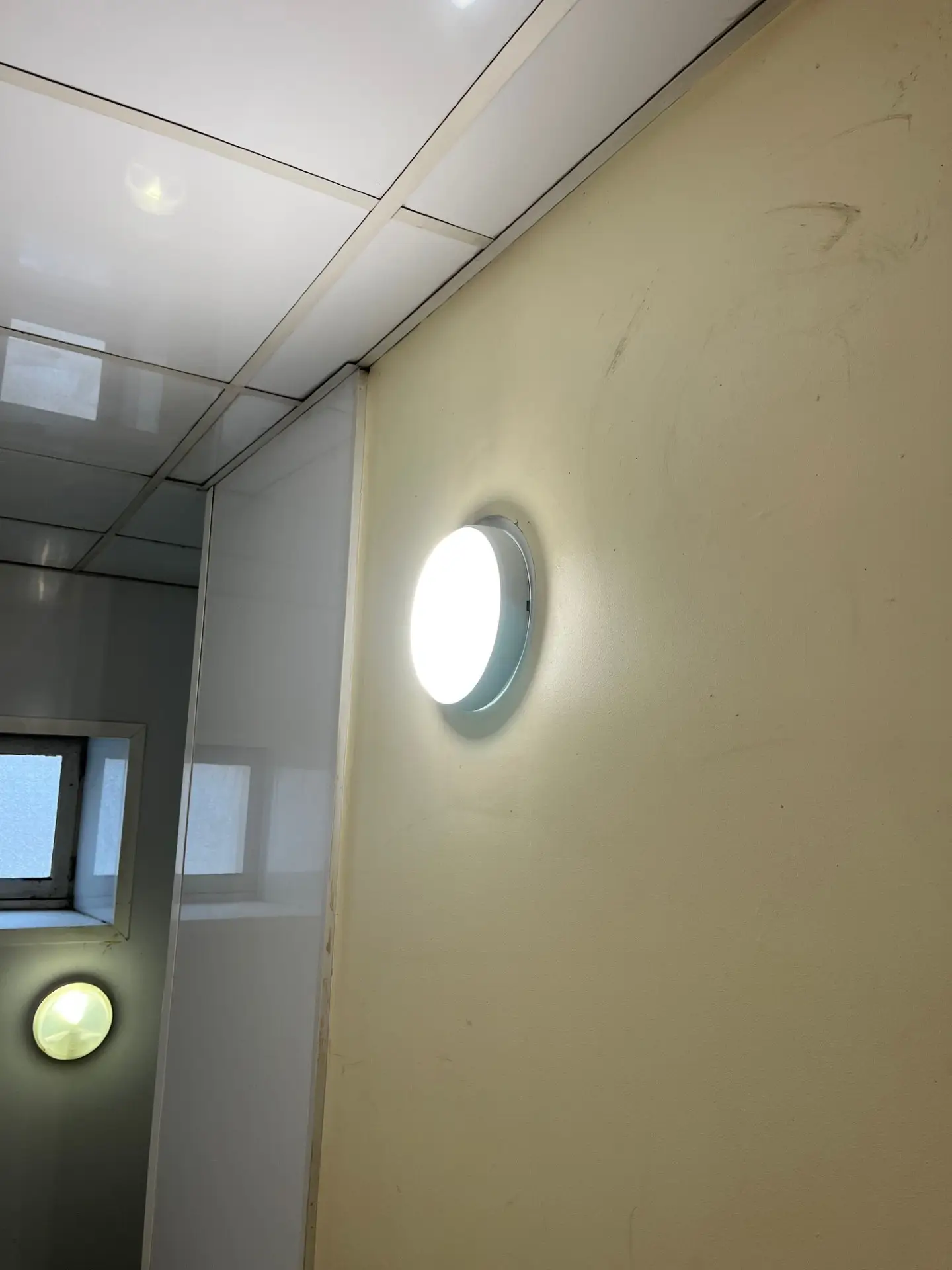 6b5b990f-71d9-4de3-8c1d-f145c64310fd